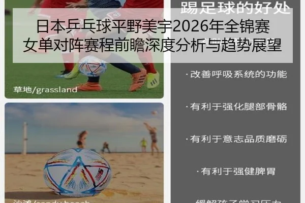 日本乒乓球平野美宇2026年全锦赛女单对阵赛程前瞻深度分析与趋势展望