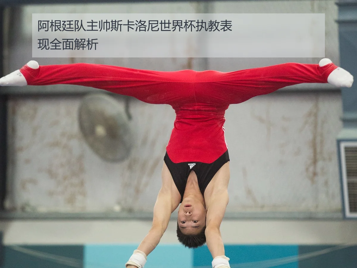 阿根廷队主帅斯卡洛尼世界杯执教表现全面解析
